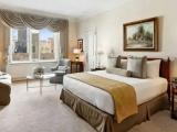 Standard room with park view