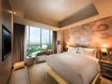 1 Bedroom with Lounge Access Double Suite