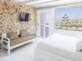 Executive Double Suite