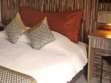Double Mini Suite