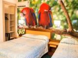 Executive Single room