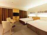 Type C Double room