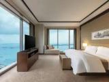 1 Bedroom Club Lounge Access Double Suite