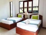Tropical Garden room