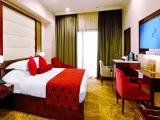 Superior Double Club room