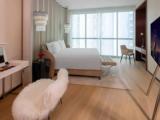 Carole Double Suite