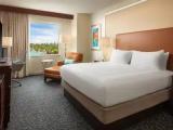 Accessible Double room with pool view