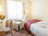 Relax Massage Chair Single room