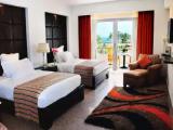 Deluxe Double room with garden view