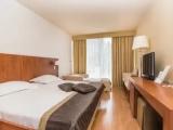 Classic Double room with balcony and with park view