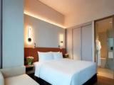Executive Double Suite
