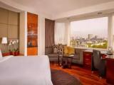 Executive Double Suite