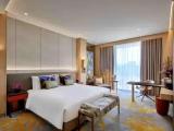 Luxury Premium Double room with city view