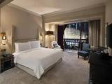 Palace Double Suite with downtown view