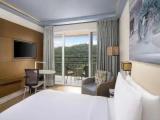 Deluxe Double room with lake view