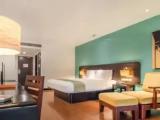 Superior Double room with balcony and with sea view