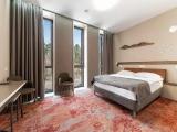 Standard (Accessible Room) Double room