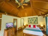 Premium Deluxe Cabana with garden view