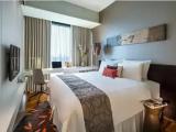 1 Bedroom Executive Deluxe Double Suite