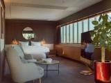 Panorama Suite