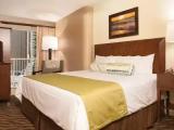1 Bedroom Lower Level Double Suite