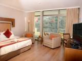 Executive Double room with land view