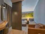 Standard Large Triple room