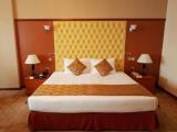 Executive Double Suite