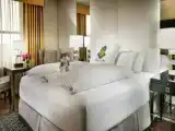 Celebrity Double room