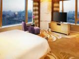 Presidential Double Suite