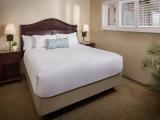 1 Floor Suite with bay view