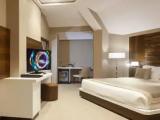 Premium Executive Double Suite