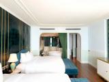 Premier Twin Junior Suite with city view