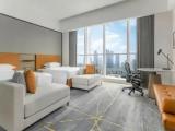 Premier Deluxe Double room with city view