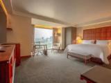 Deluxe Double room with park view