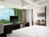 1 Bedroom Double Junior Suite with balcony and Ocean View