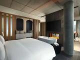 Executive Double Suite