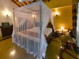 Deluxe Cabana Super room