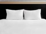 2 Bedrooms Double Suite with city view