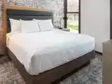 1 Bedroom Penthouse Suite