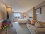 Premium Double Studio with Kitchen