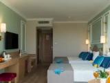 Standard room with land view