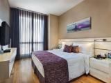1 Bedroom Deluxe Apartment with city view