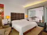 1 Bedroom Executive Double Club Suite