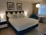 Deluxe Double room with pool view