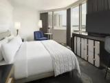 Urban Double Suite City or River View