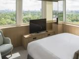 Deluxe Park Double Suite