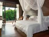 Tropical Double Pool Villa
