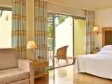 Junior Suite with view