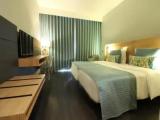 Standard Double room with mountain view